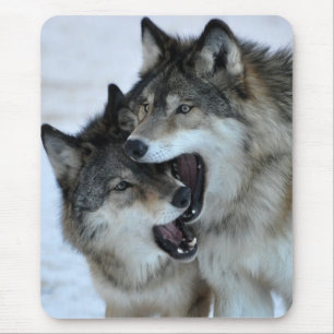 Grey Wolf Mouse Pad