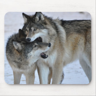 Grey Wolf Mouse Pad