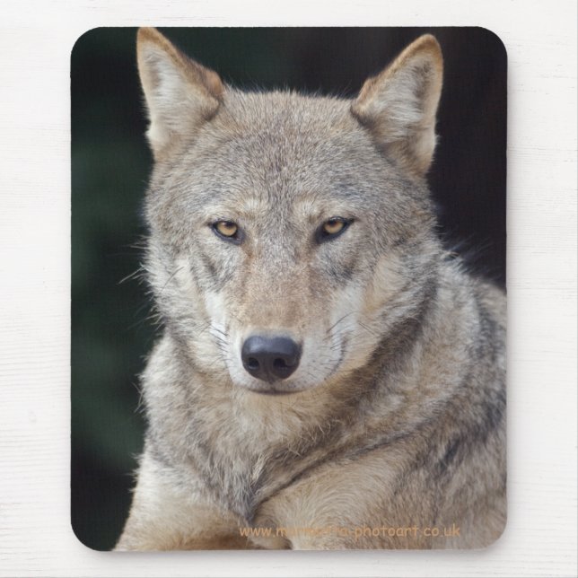 Grey Wolf Mousemat (Front)