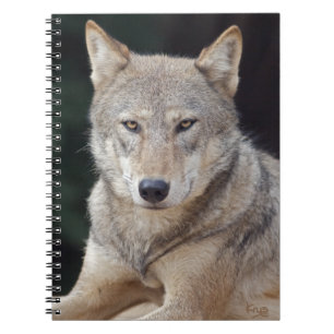 Grey Wolf Notebook