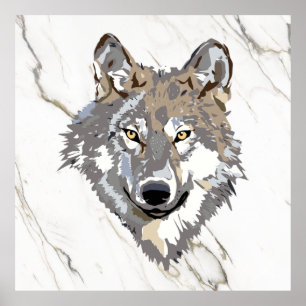 Grey Wolf On Marble  Poster