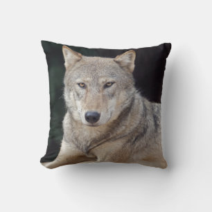 Grey Wolf Pillow