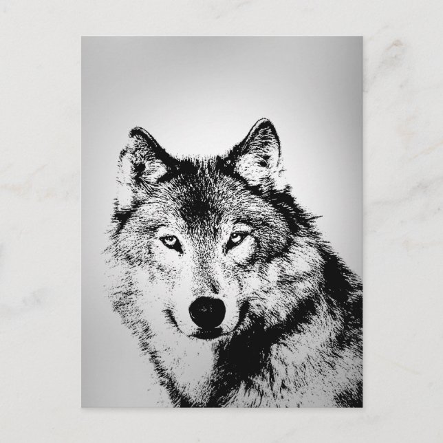 Grey Wolf Postcard (Front)