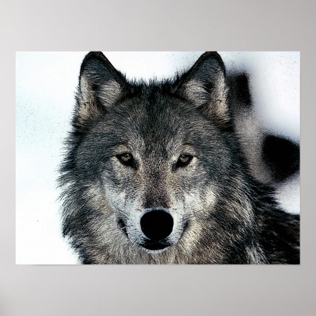 Grey Wolf Poster (Front)
