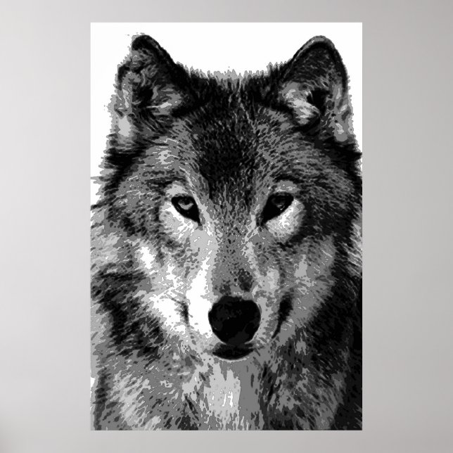 Grey Wolf Poster Print (Front)