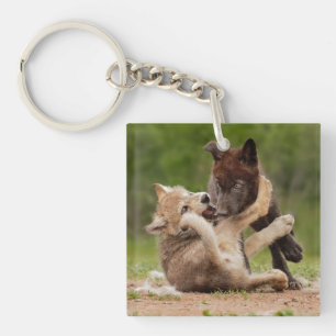 Grey Wolf Pups Wrestling Key Ring