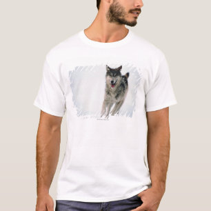 Grey wolf running T-Shirt