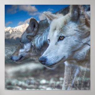 Grey Wolf SENTINEL WOLVES Poster