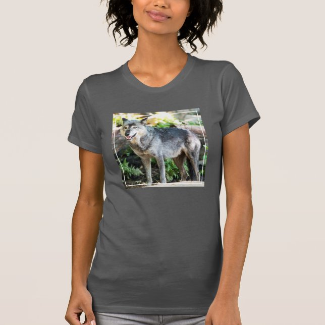 Grey Wolf Standing Alone T-Shirt (Front)
