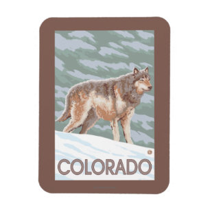 Grey Wolf StandingColorado Magnet