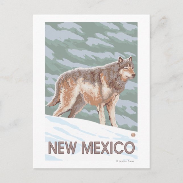 Grey Wolf StandingNew Mexico Postcard (Front)