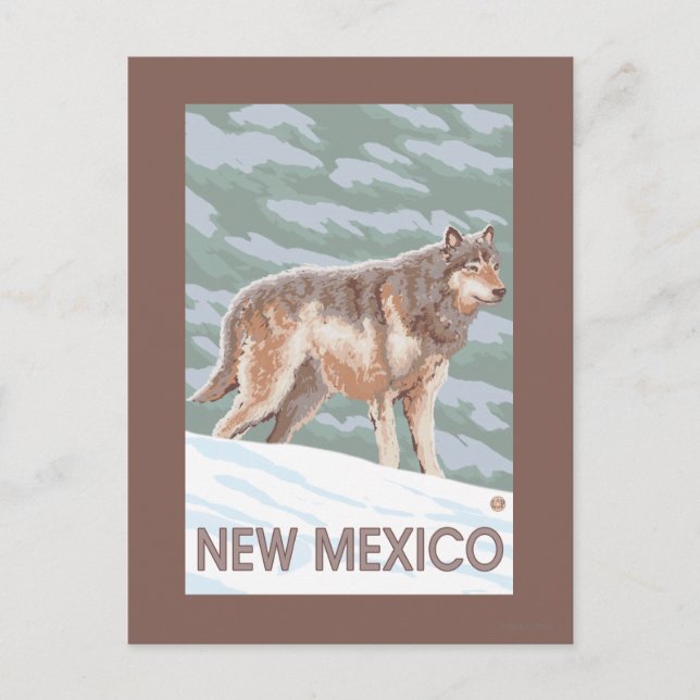 Grey Wolf StandingNew Mexico Postcard (Front)