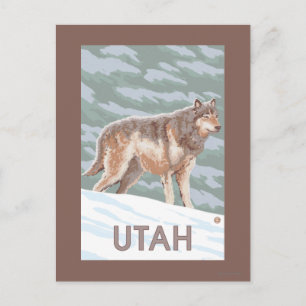 Grey Wolf StandingUtah Postcard