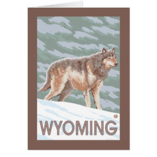 Grey Wolf StandingWyoming