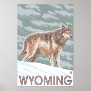 Grey Wolf StandingWyoming Poster