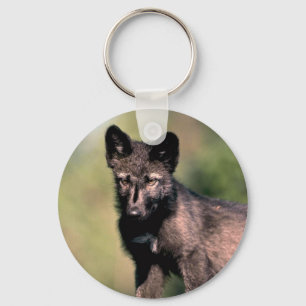 Grey Wolf-summer-(black-phase) cub Key Ring