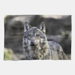 Grey Wolf Tea Towel