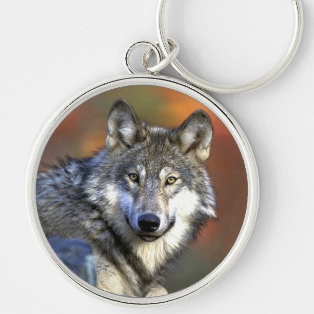 Grey Wolf - Timber Wolf - Red Wolf Series Key Ring (Front)