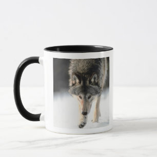 Grey wolf walking mug