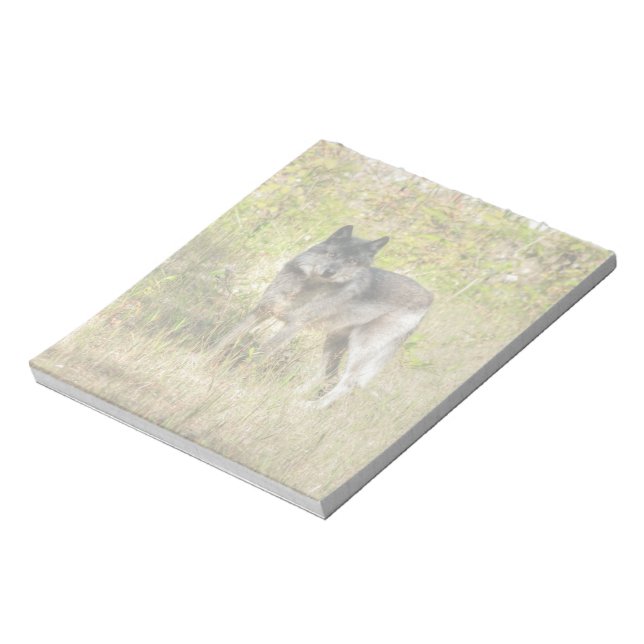 Grey Wolf & Wilderness Photo Gift Notepad (Rotated)