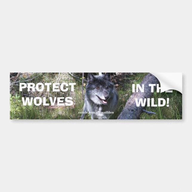 GREY WOLF Wildlife Conservation Bumper sticker (Front)