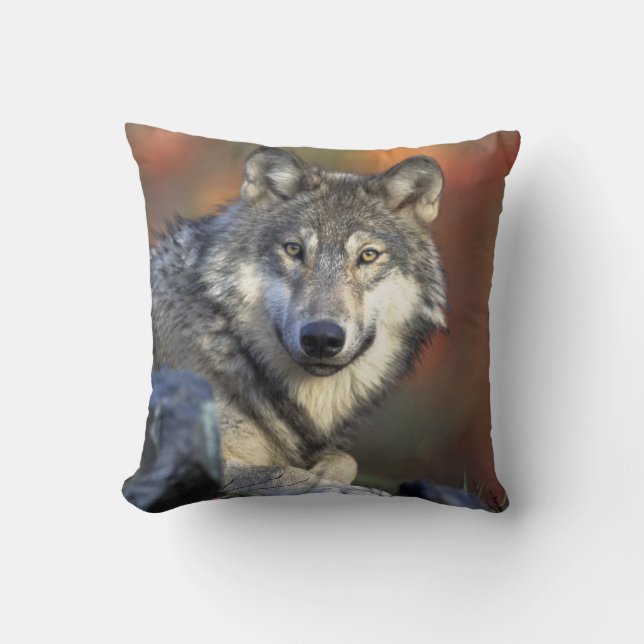 Grey Wolf Wildlife Lovers Cushion (Front)