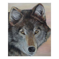 grey wolf wildlife painting realist portrait art