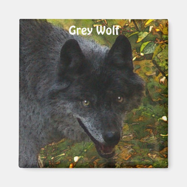GREY WOLF Wildlife Supporter Art  Magnet (Front)