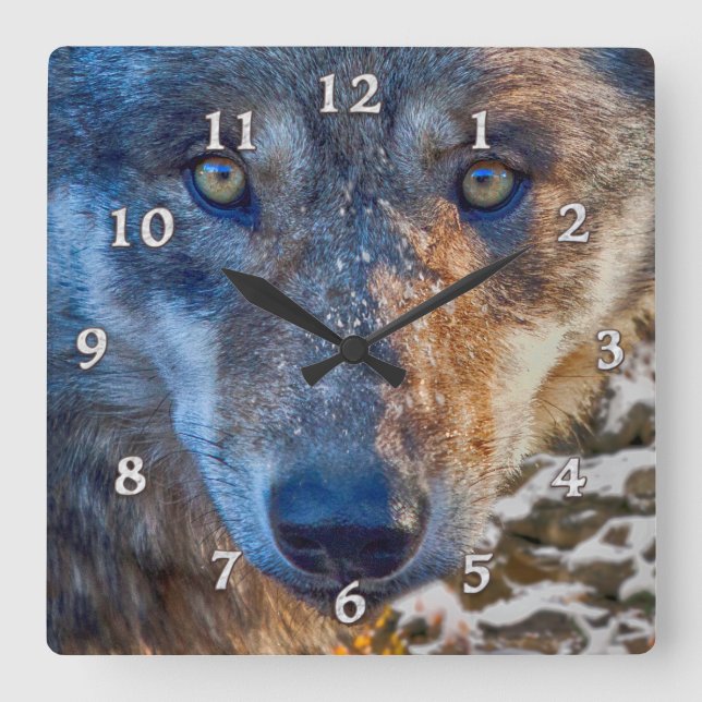 GREY WOLF WINTER'S RANGER SQUARE WALL CLOCK (Front)