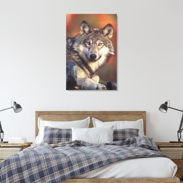Grey wolf  Wrapped Canvas Print (Insitu(Bedroom))