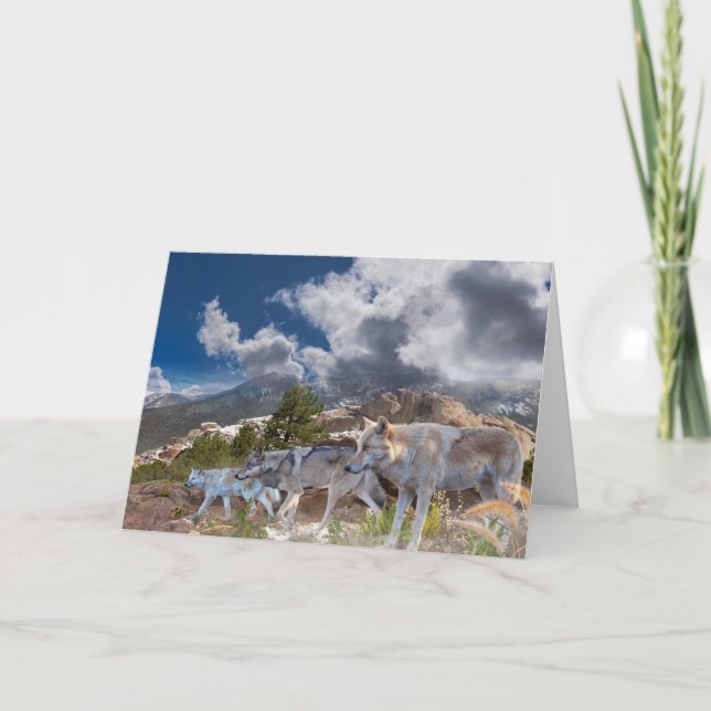 Grey Wolves Family Journey Card (Front)