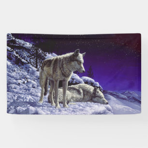 Grey Wolves in Winter Snow at Night Banner