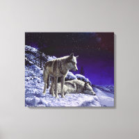 Grey Wolves in Winter Snow at Night