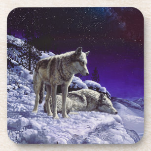 Grey Wolves in Winter Snow at Night Coaster