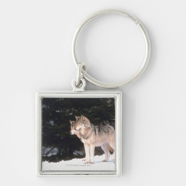 Grey wolves key ring (Front)