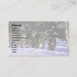 Grey Wolves-pack at edge of snowy forest Business Card