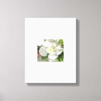greyfforaday Wfhite Floral Print