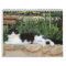 Greyfoot Cat Rescue 2013 Calendar