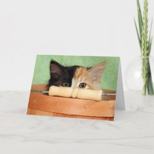 Greyfoot Cat Rescue Calico Kitten Card