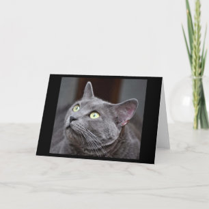 Greyfoot Cat Rescue Russian Blue Greeting Card