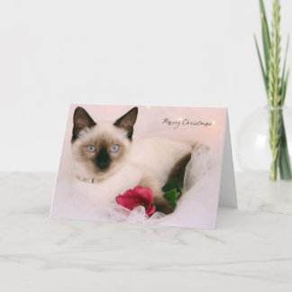 Greyfoot Cat Rescue Siamese Merry Christmas Card