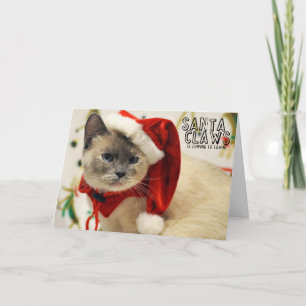 Greyfoot Cat Rescue Siamese Santa Card