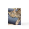 Greyfoot Cat Rescue Silver Grey Tabby Card