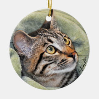 Greyfoot Cat Rescue Silver Grey Tabby Ornament