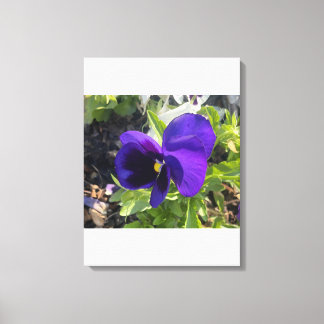 greyforaday Blue Floral Print