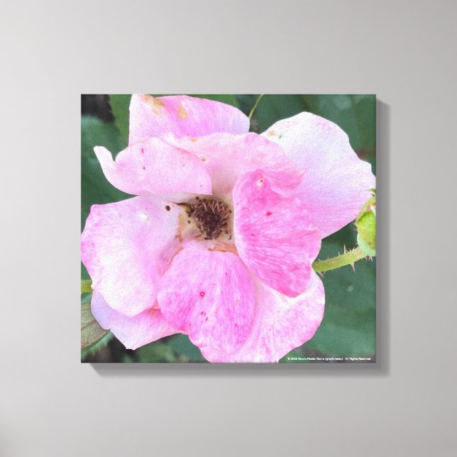 greyforaday Pink Floral Print (Front)