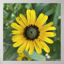 greyforaday Yellow Floral Print