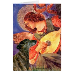 Greyhound (br2) - Mandolin Angel