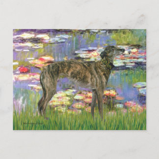 Greyhound (br8) - Lilies 2 Postcard