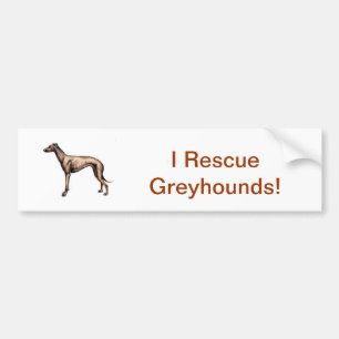 Greyhound Bumper Sticker
